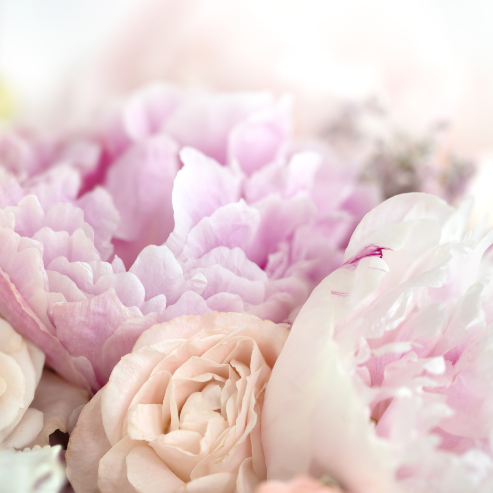 Floral