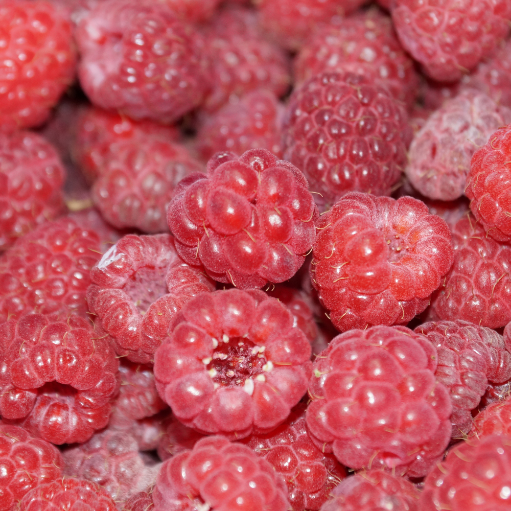 Fruity